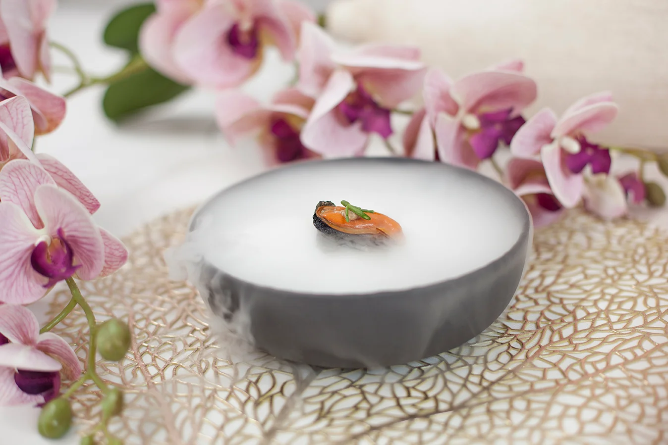 humo docetrescientos